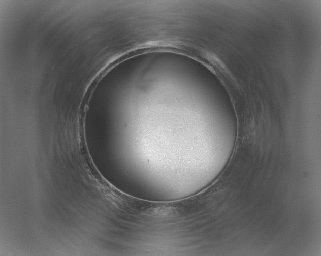 X0000054391268200508121623