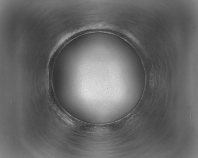 X0000054391270200508121623