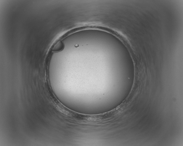 X0000054391271200508121623