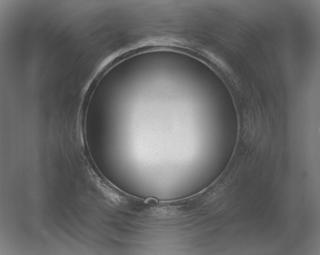 X0000054391272200508121623