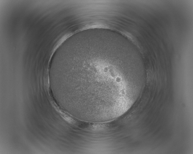 X0000054391274200508121623