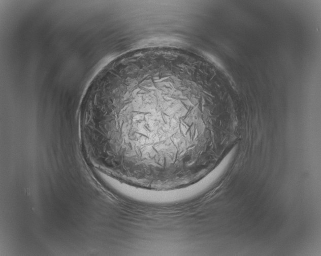 X0000054391275200508121623