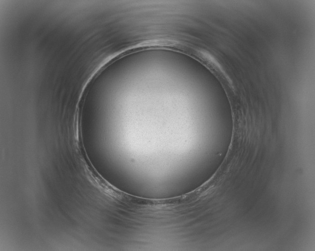 X0000054391276200508121623