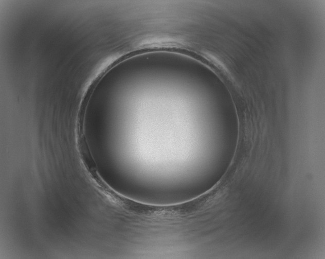 X0000054391277200508121623