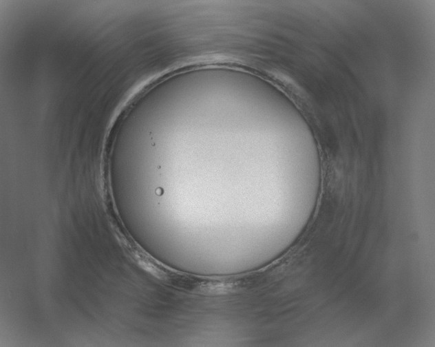 X0000054391278200508121623