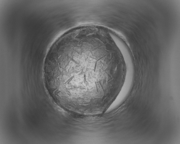 X0000054391279200508121623