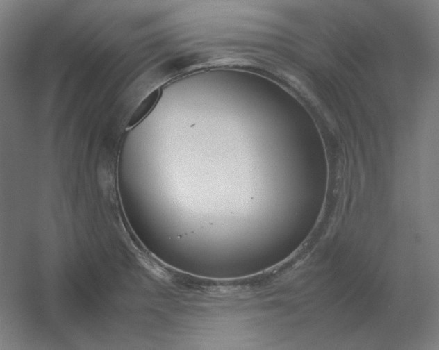 X0000054391281200508121623