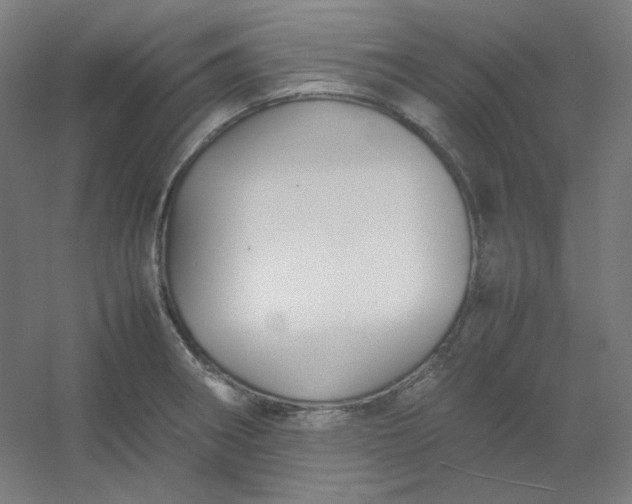 X0000054391282200508121623