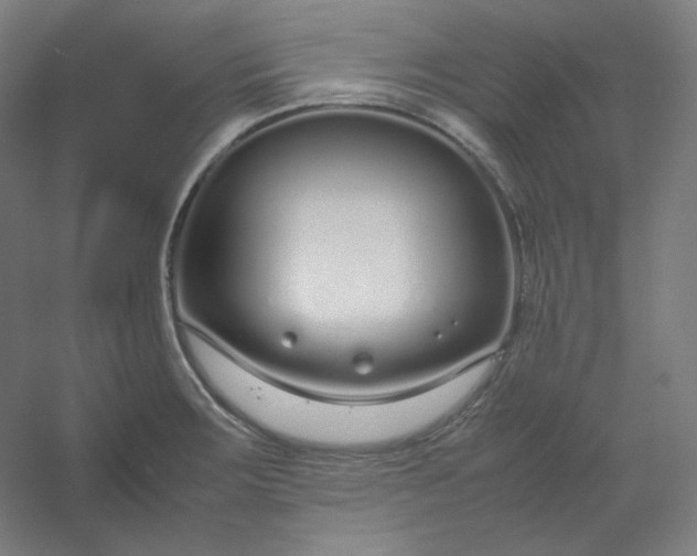 X0000054391283200508121623