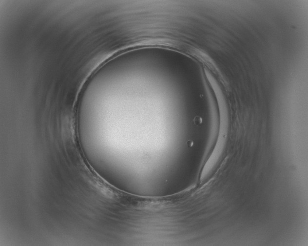 X0000054391284200508121623