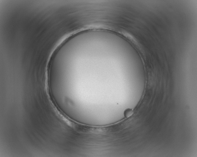 X0000054391286200508121623