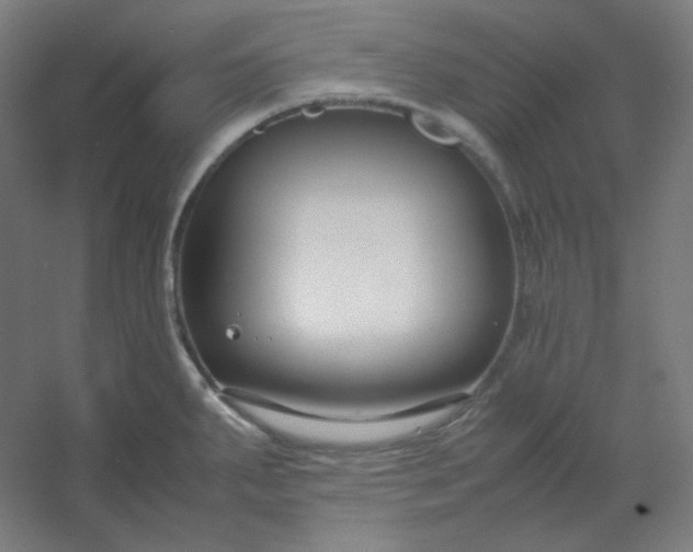 X0000054391287200508121623