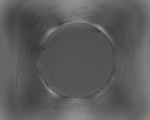 X0000054391289200508121623