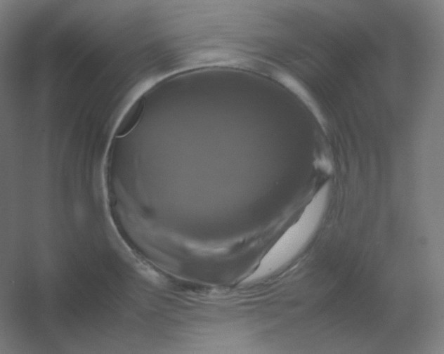 X0000054391291200508121623