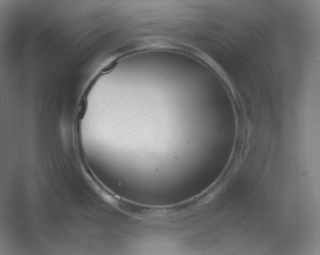 X0000054391293200508121623