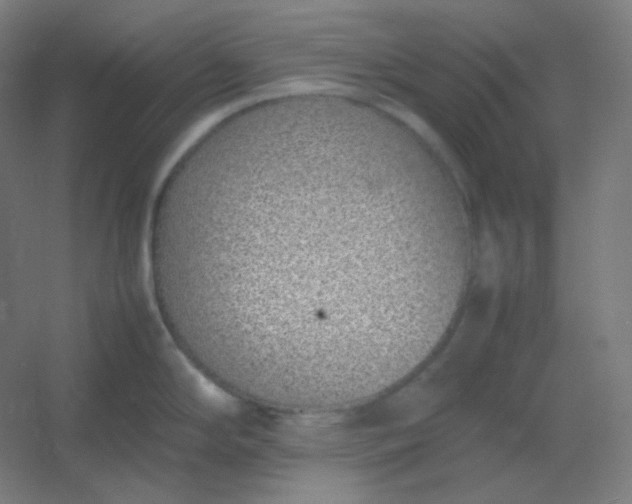 X0000054391294200508121623