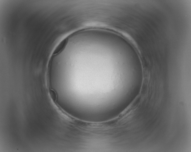 X0000054391295200508121623