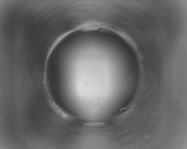 X0000054391296200508121623