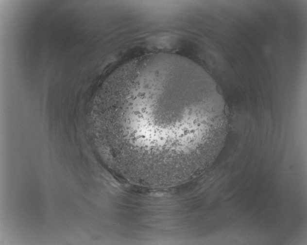 X0000054391297200508121622