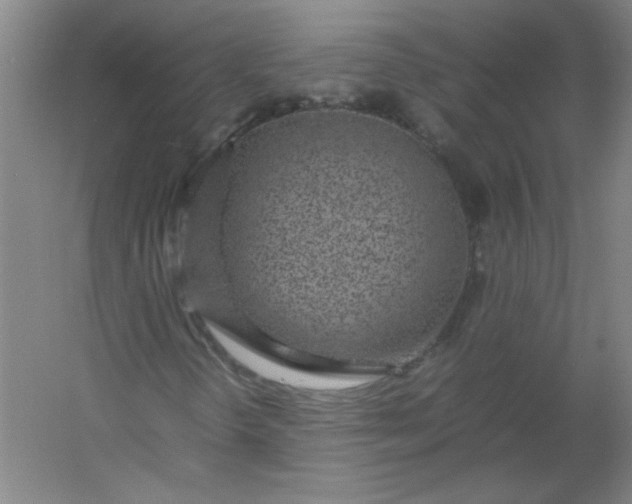 X0000054391298200508121622