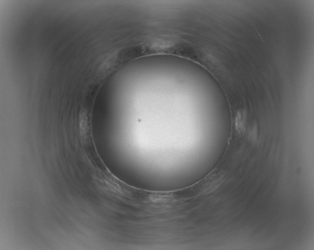 X0000054391299200508121622