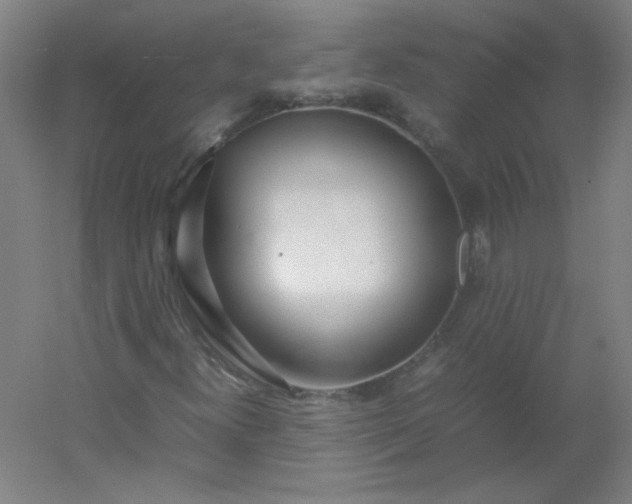 X0000054391300200508121622