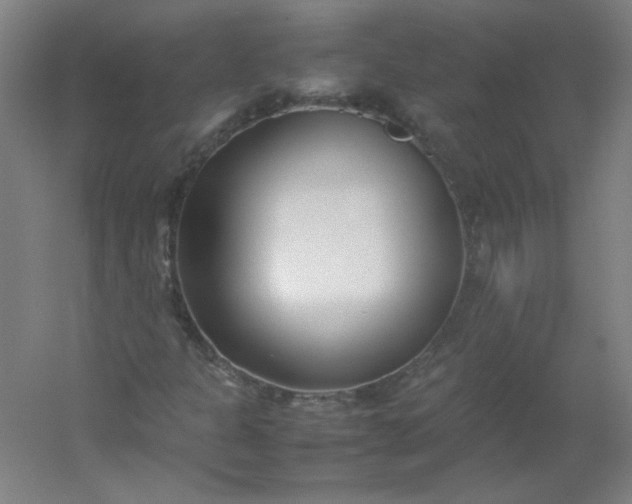 X0000054391301200508121622