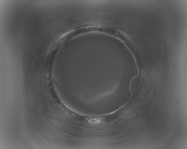 X0000054391303200508121622