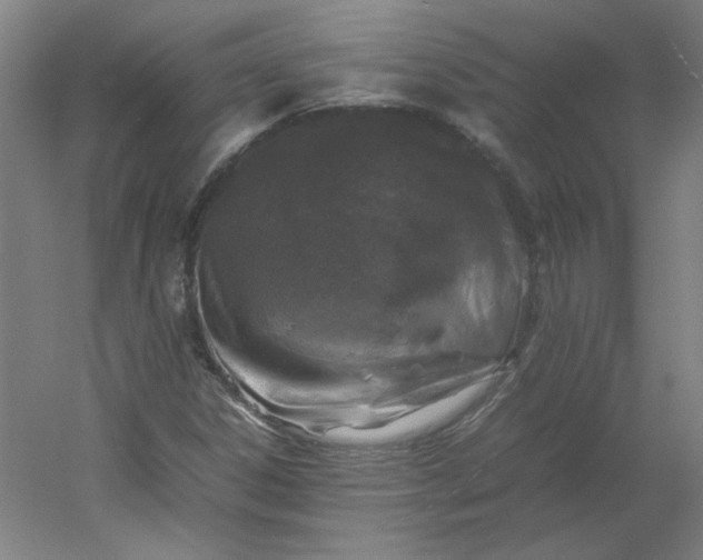 X0000054391306200508121622