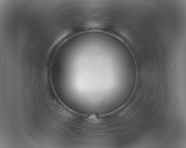 X0000054391309200508121622