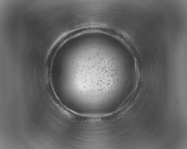 X0000054391310200508121622