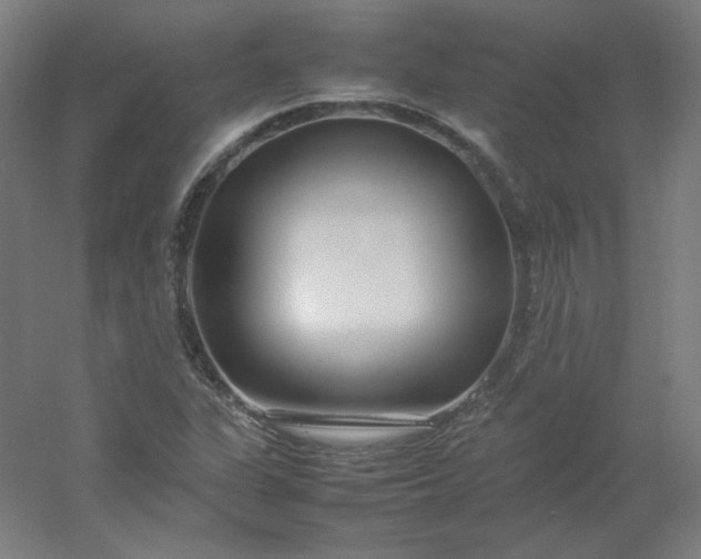 X0000054391311200508121622