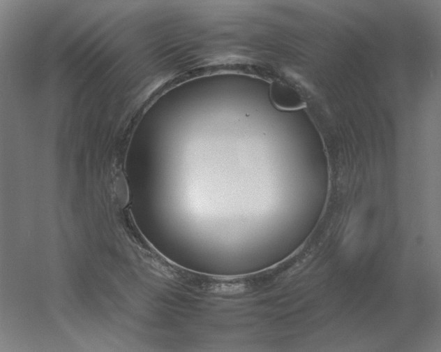 X0000054391313200508121622