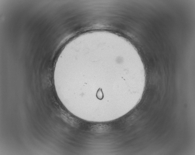 X0000054391314200508121622