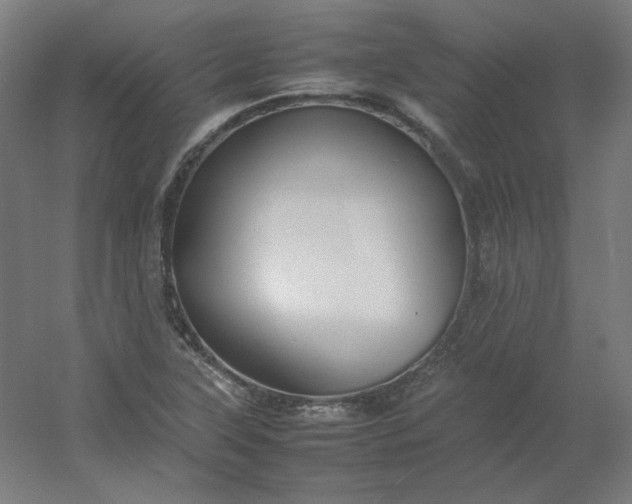 X0000054391315200508121622