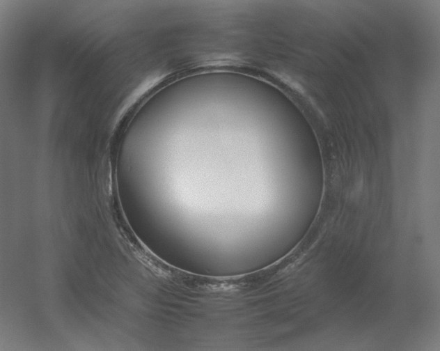 X0000054391317200508121622