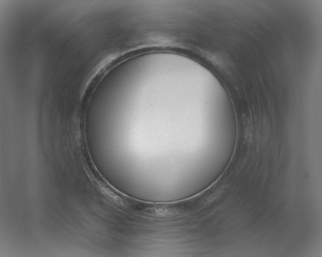 X0000054391318200508121622