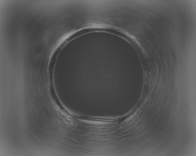 X0000054391319200508121622