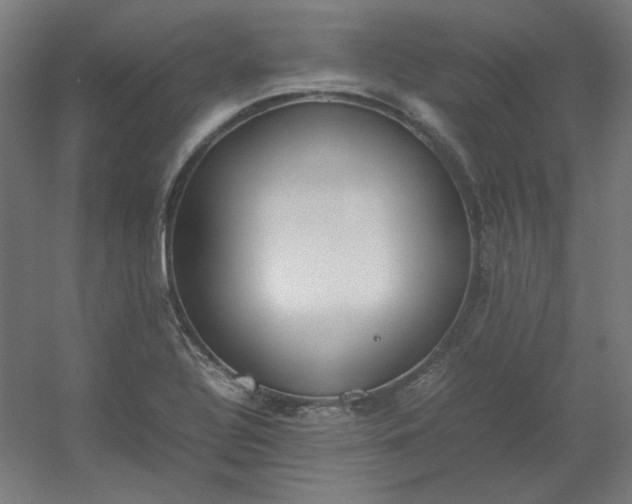 X0000054391320200508121622