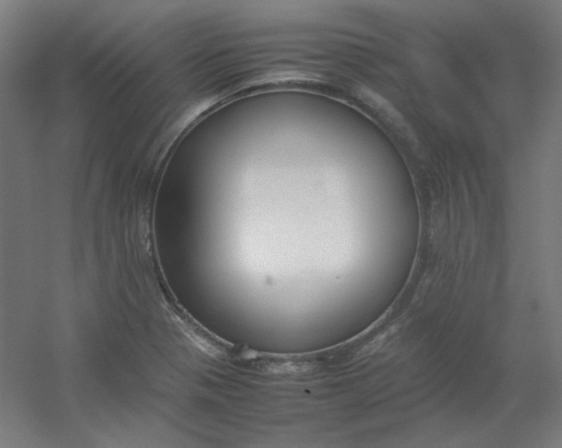 X0000054391321200508121622