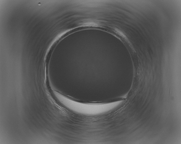 X0000054391323200508121622