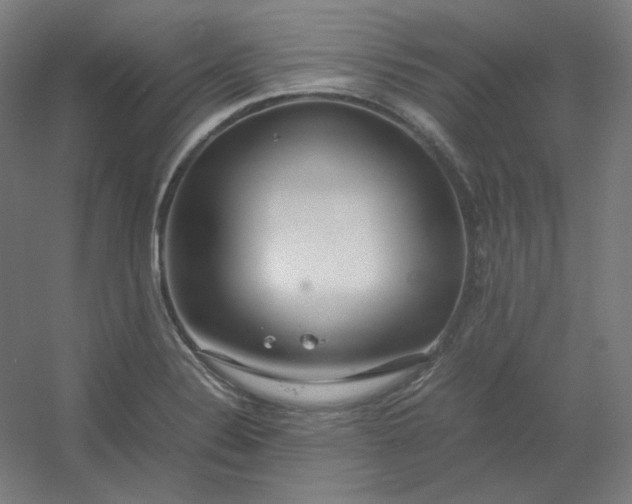 X0000054391324200508121622