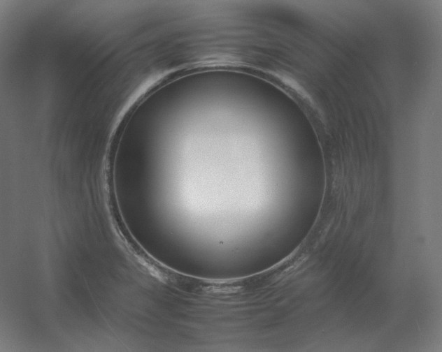 X0000054391325200508121622