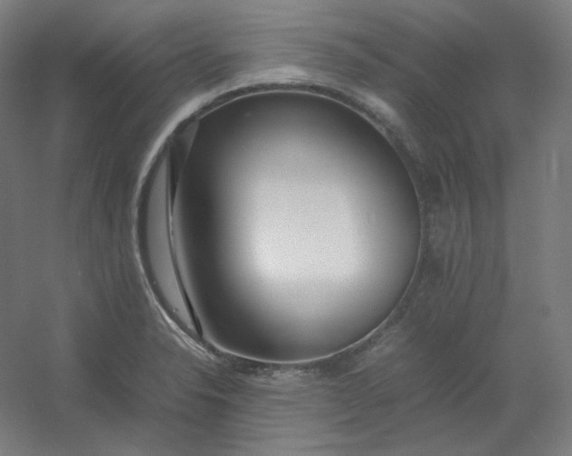 X0000054391326200508121622