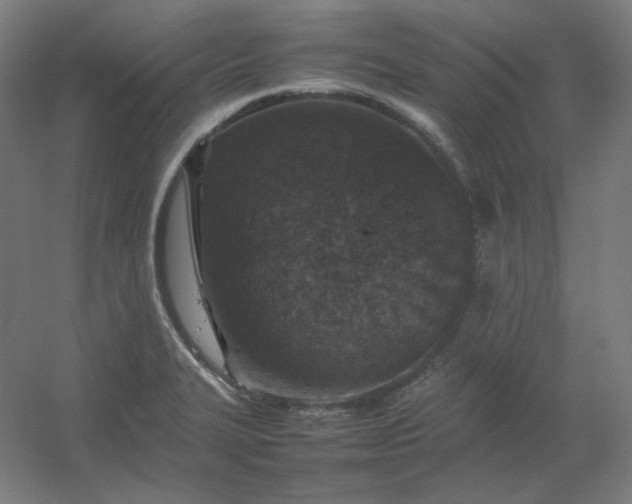 X0000054391327200508121622