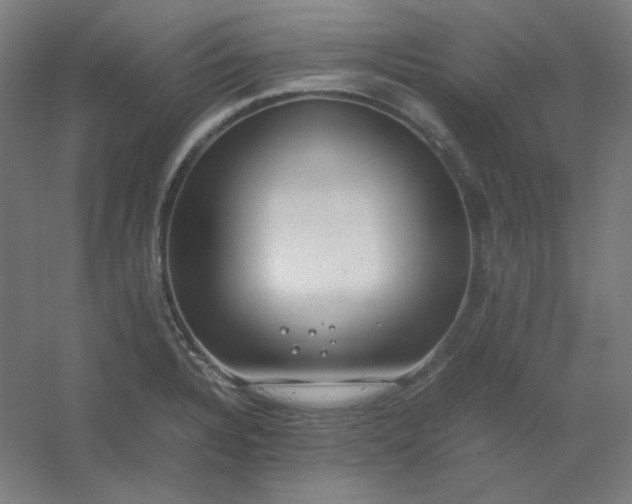 X0000054391328200508121622