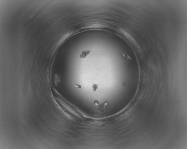 X0000054391329200508121622