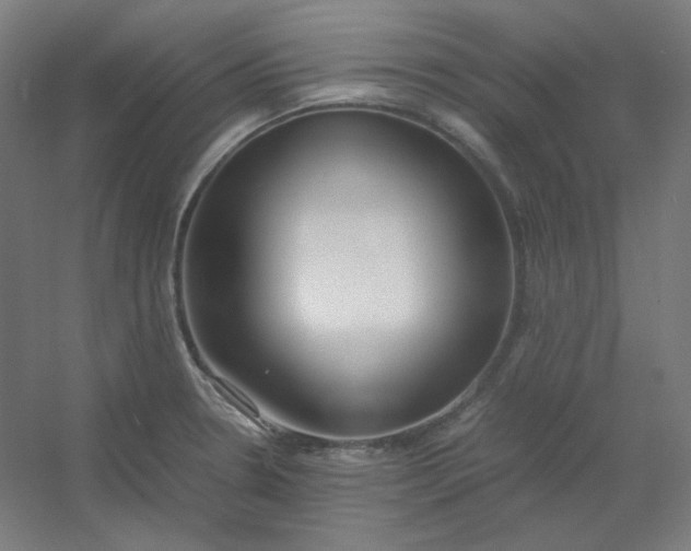 X0000054391330200508121622