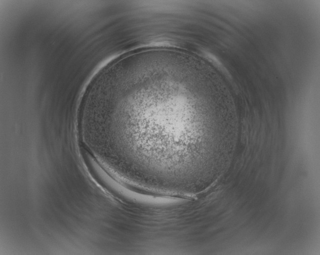 X0000054391331200508121622