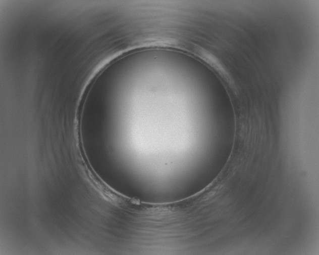 X0000054391332200508121622